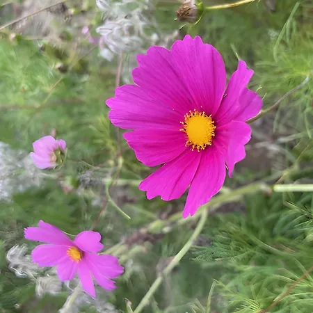 Bed & Breakfast Les Jardins De L'ecume