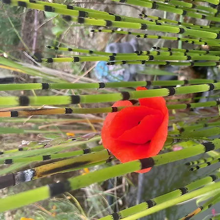 Bed & Breakfast Les Jardins De L'ecume 3*