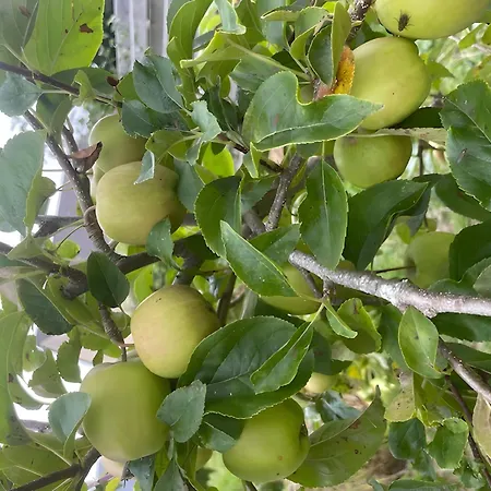 Les Jardins De L'ecume Alojamento de Acomodação e Pequeno-almoço