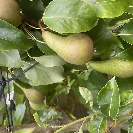 Les Jardins De L'ecume Alojamento de Acomodação e Pequeno-almoço