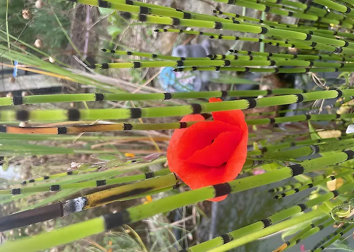 Bed & Breakfast Les Jardins De L'ecume 3*