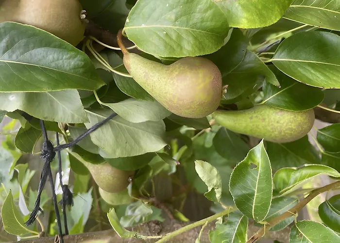 Les Jardins De L'ecume 3*