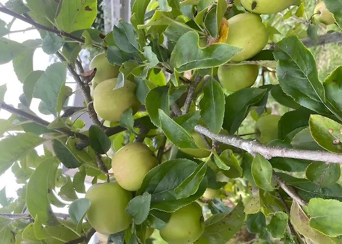 Bed & Breakfast Les Jardins De L'ecume