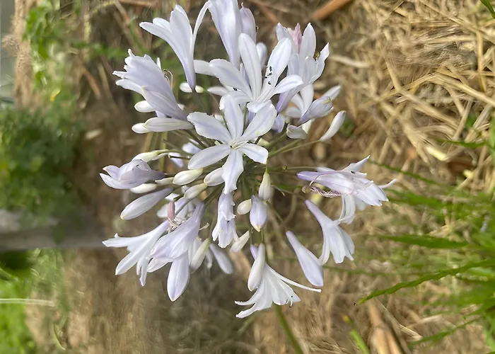 Les Jardins De L'ecume Bed & Breakfast 3*