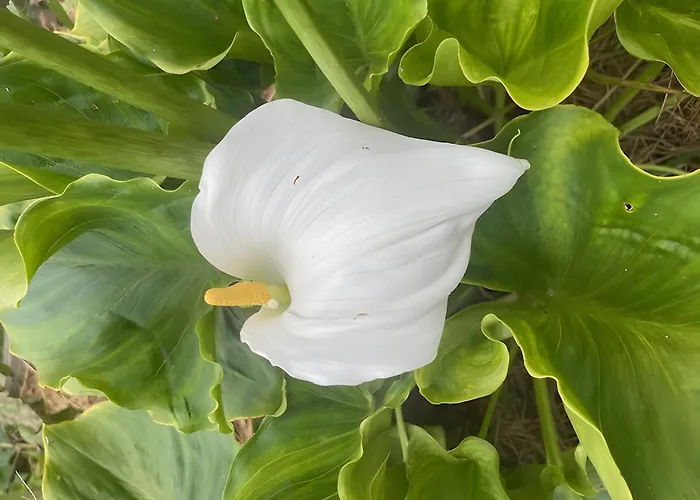 Les Jardins De L'ecume 3* Saint-Laurent-sur-Mer